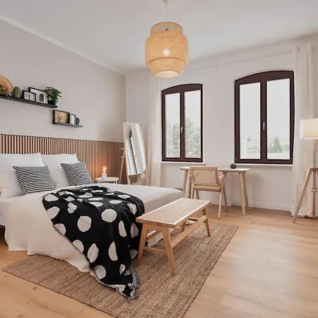 Jugenstil-altbauwohnung An Der Karlsaue - 120qm, Klimaanlage, Neu Saniert, Zentrale Lage *